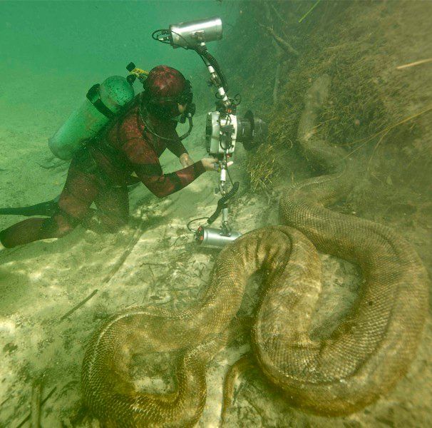 acid_picdump_110.jpg