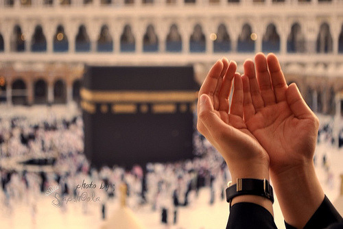 tumblr_lk0gargUHF1qguarwo1_500.jpg