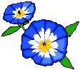 nature-32.gif