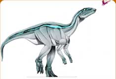 dc_card_gaspa.jpg