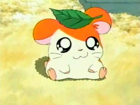 hamtaro-so-cute1.jpg