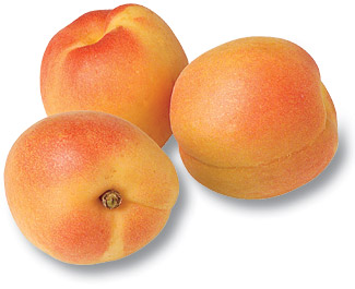 apricot.jpg