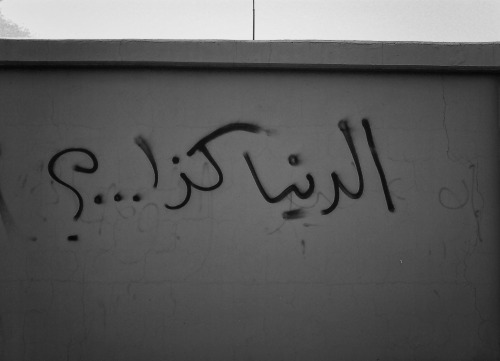 tumblr_mise5qYJuA1qcdba6o1_500.jpg
