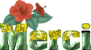 62312927.gif