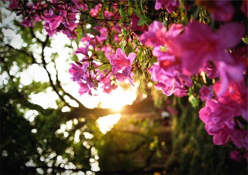image130503.html