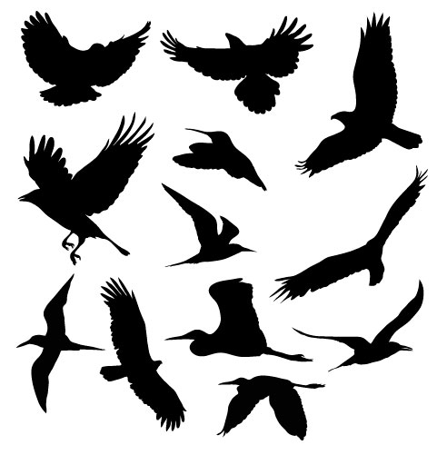 free_vector_birds.jpg