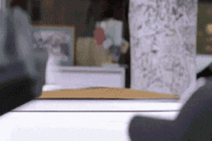1290982898485.gif