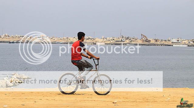 IMG_3710.jpg