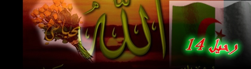 algeri14.jpg