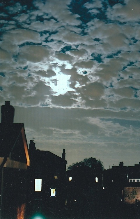 tumblr_mmfzqrsK671qcx2hto1_500.jpg
