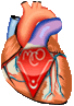 organe6-9e6101.gif