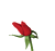 thAnimation13.gif