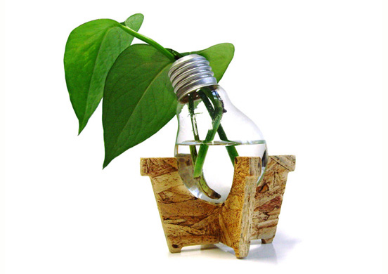 Bulb-l.jpg