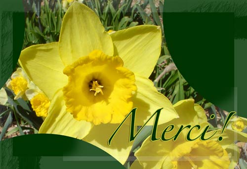 merci05.jpg
