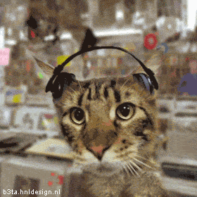 0703110644292192383391.gif