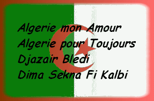 algerie-mon-amour.gif