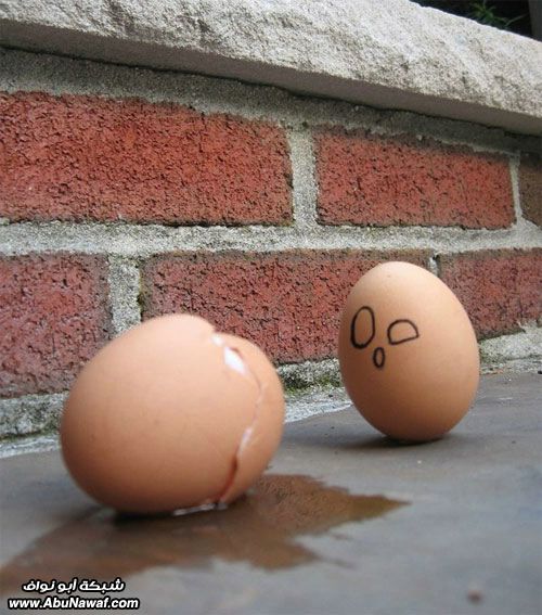 egg18.jpg