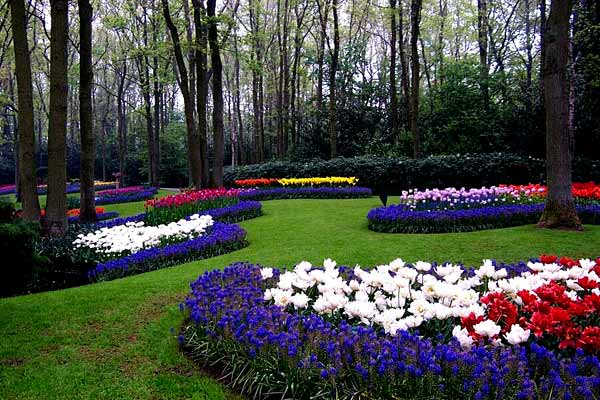 keukenhof-1009.jpg