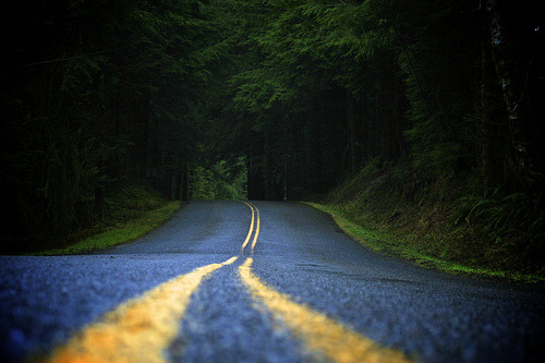 tumblr_mjne69rx6B1rnlb7lo1_500.jpg