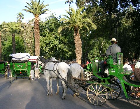 marrakech02.jpg