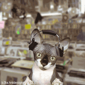 0703110620052192383332.gif