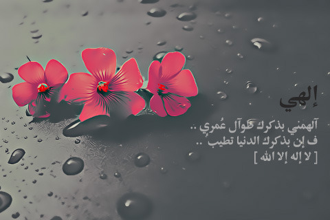 tumblr_luj4lcqXkX1qi8x7ao1_500.jpg