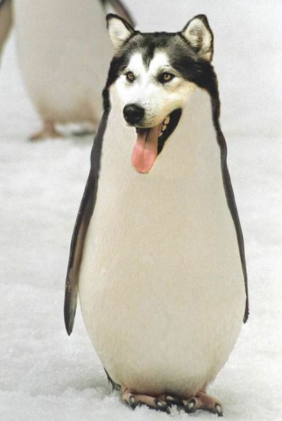 acid_picdump_113.jpg