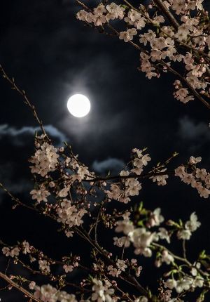 image129136.html