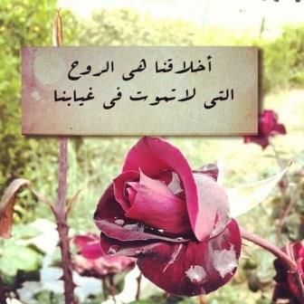 edb1b130f28dbd7bd8b717a794e275e3.jpg