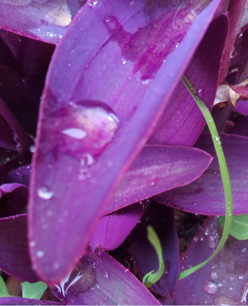 image129527.html