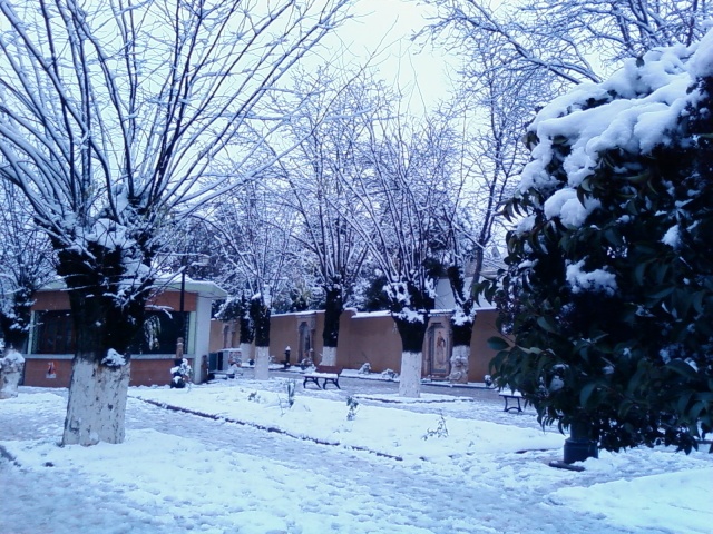 sp_a0612.jpg