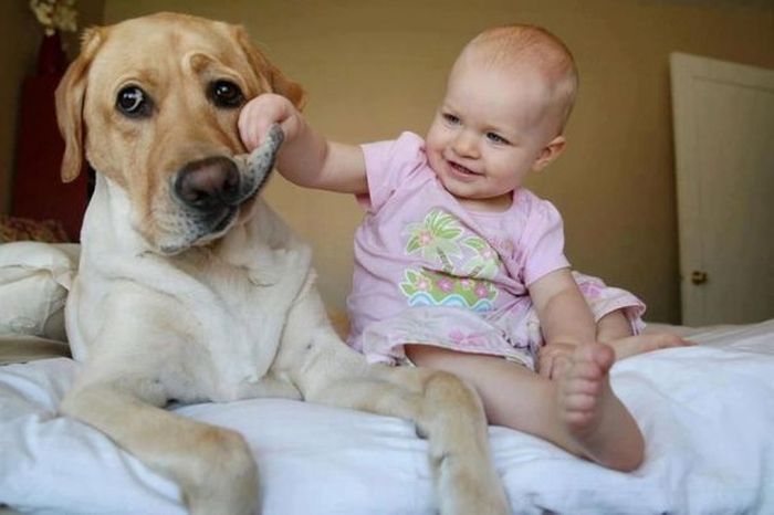 acid_picdump_88.jpg