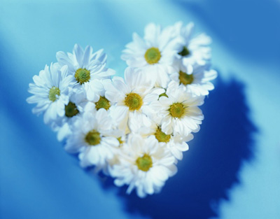 flower-29.jpg