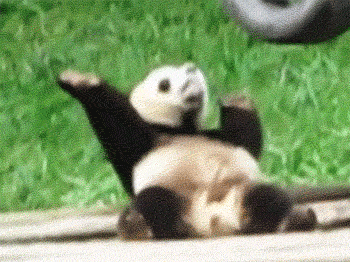 friday_gif_selection_19.gif