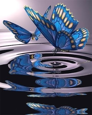 papillons-1.jpg