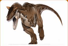 dc_card_carno.jpg