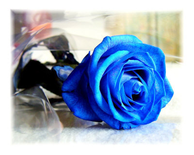 blue-r10.jpg
