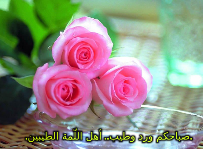 image129031.html