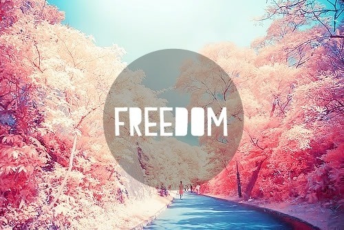 tumblr_myqwfaTAB41qdzaxuo1_500.jpg