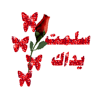 10011222572496.gif