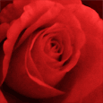 8325-001-17-1078.gif