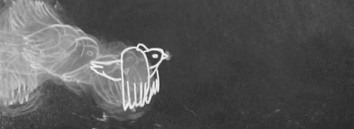 tumblr_lntinmB2451qk2nq7o1_500.gif