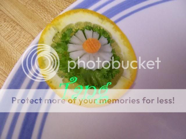100_5396.jpg