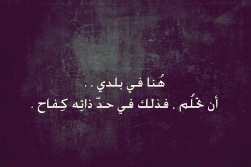 tumblr_mr8m96Oieb1r2a8gfo1_500.jpg