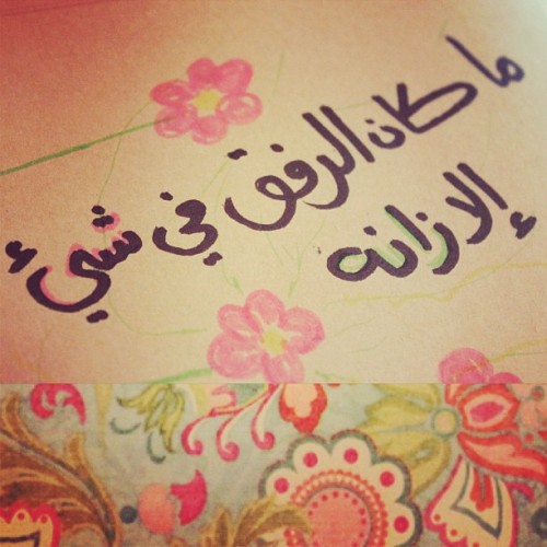 tumblr_mx4478DdTg1qb8em7o1_500.jpg