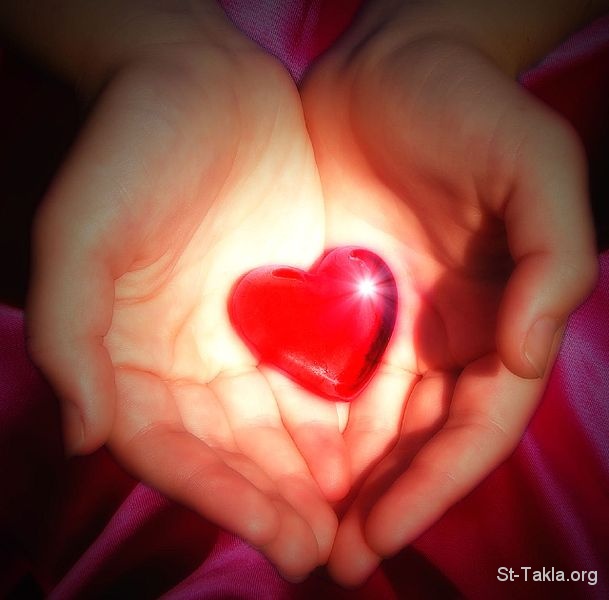 www-St-Takla-org___Hearts-04-in-Hand.jpg