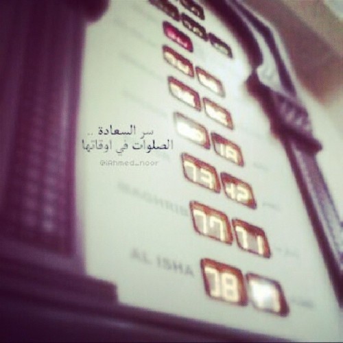 tumblr_n18pw1Ef9v1rq6aejo1_500.jpg