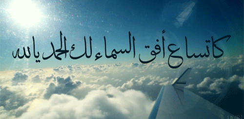 tumblr_n37ppc1S7k1s367ulo1_500.gif
