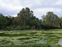 1212755137_915ab97e07_m.jpg