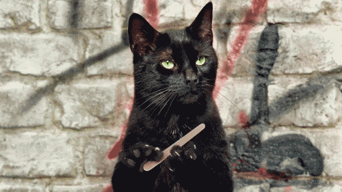 friday_gif_selection_05.gif